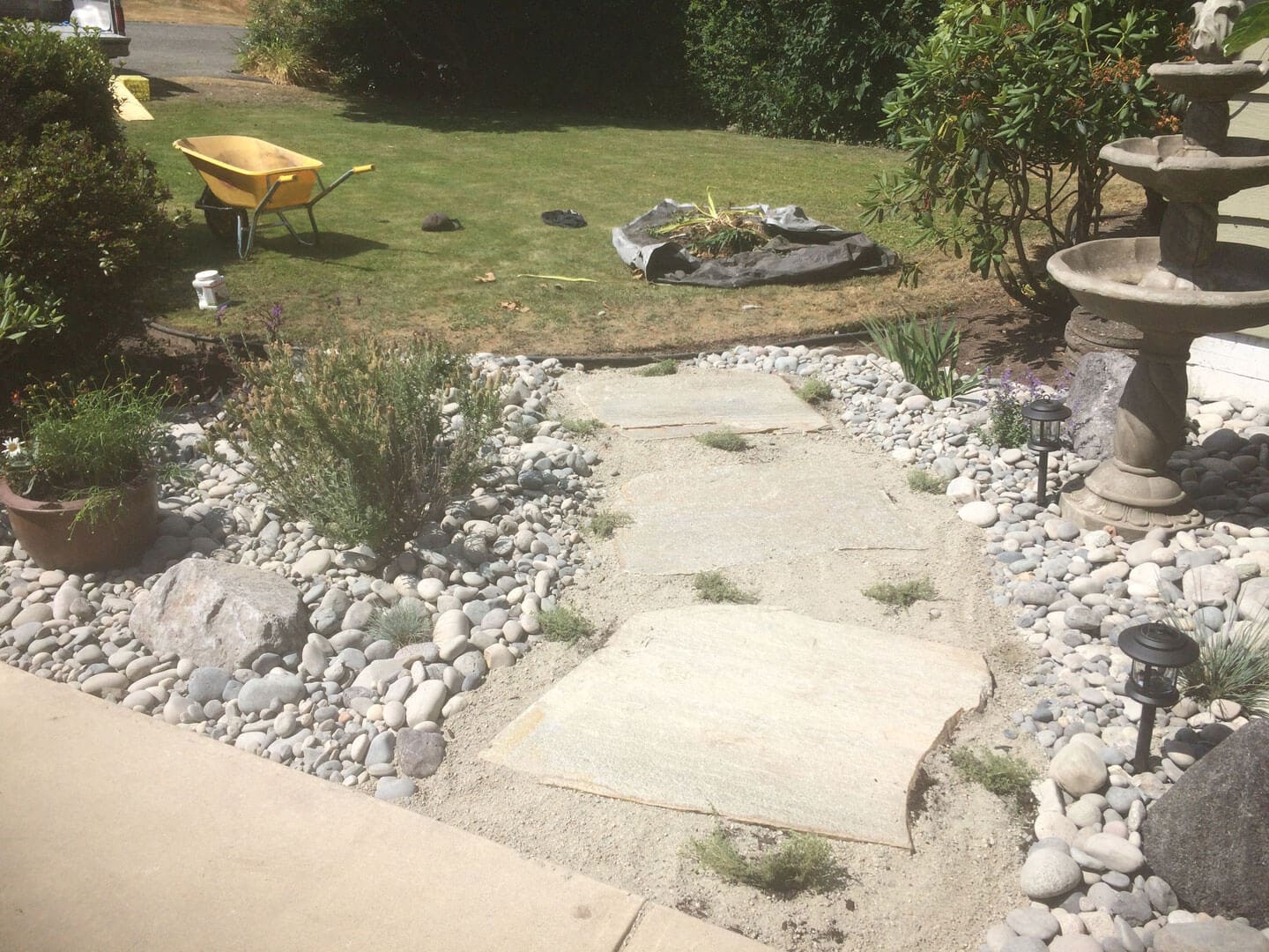 A small garden pathway with stepping stones and surrounding rocks.