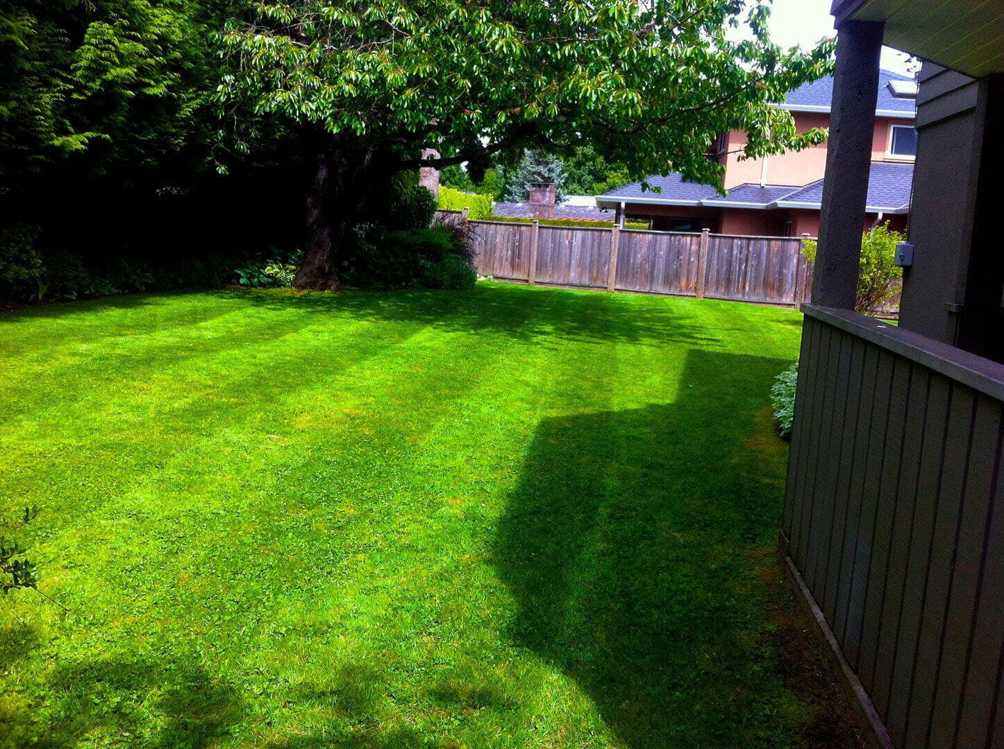 A sunlit backyard with neatly mowed grass and shadows from nearby structures.