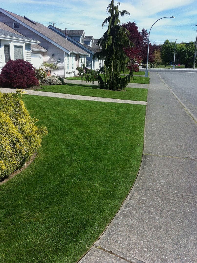 Well-maintained lawn with trimmed grass beside a sidewalk.