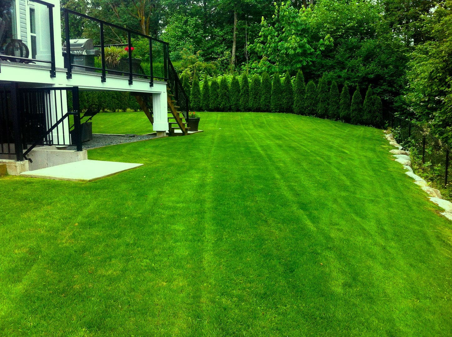 Well-maintained green lawn beside a modern house.