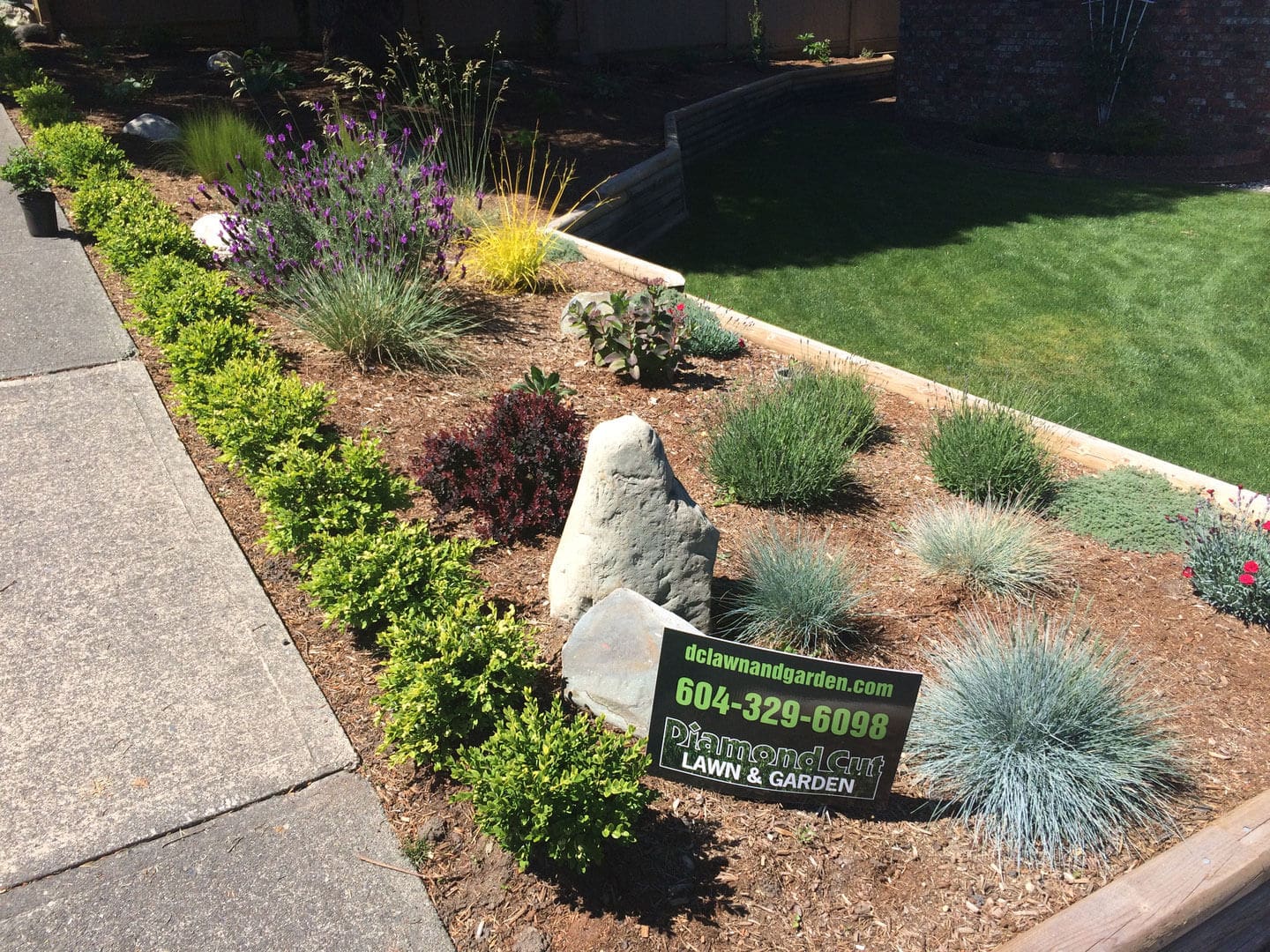 A landscaped garden bed with various plants and a lawn.
