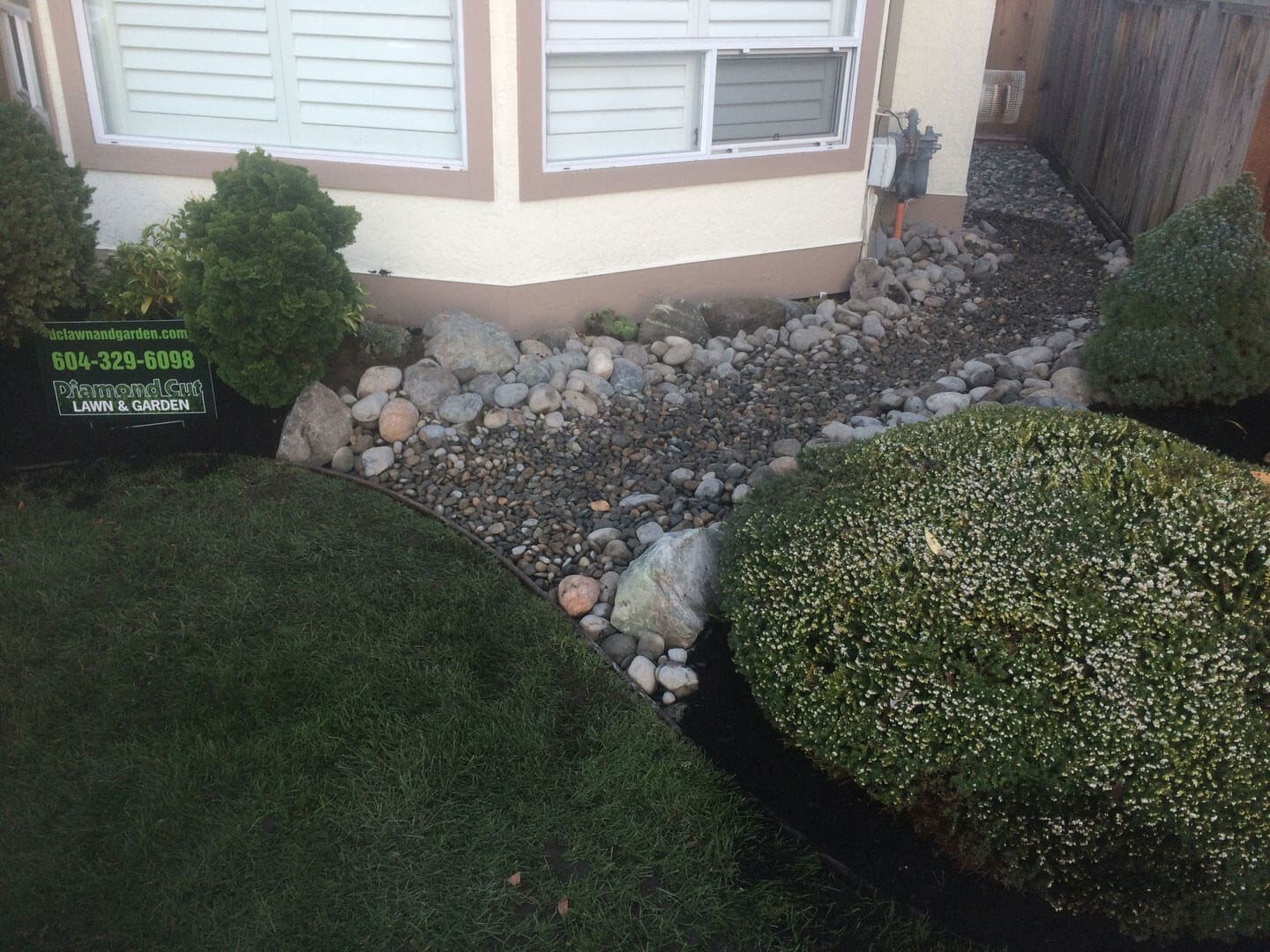 A small dry creek bed with rocks and surrounding plants.