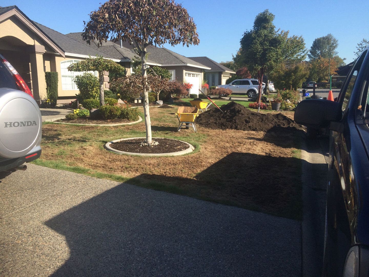 Residential front yard with newly landscaped garden beds around a young tree.