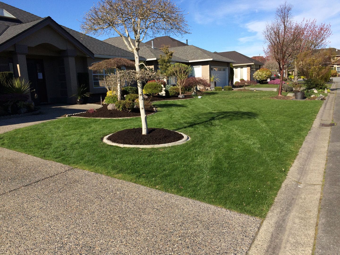 Well-manicured suburban front yards with green lawns and small trees.