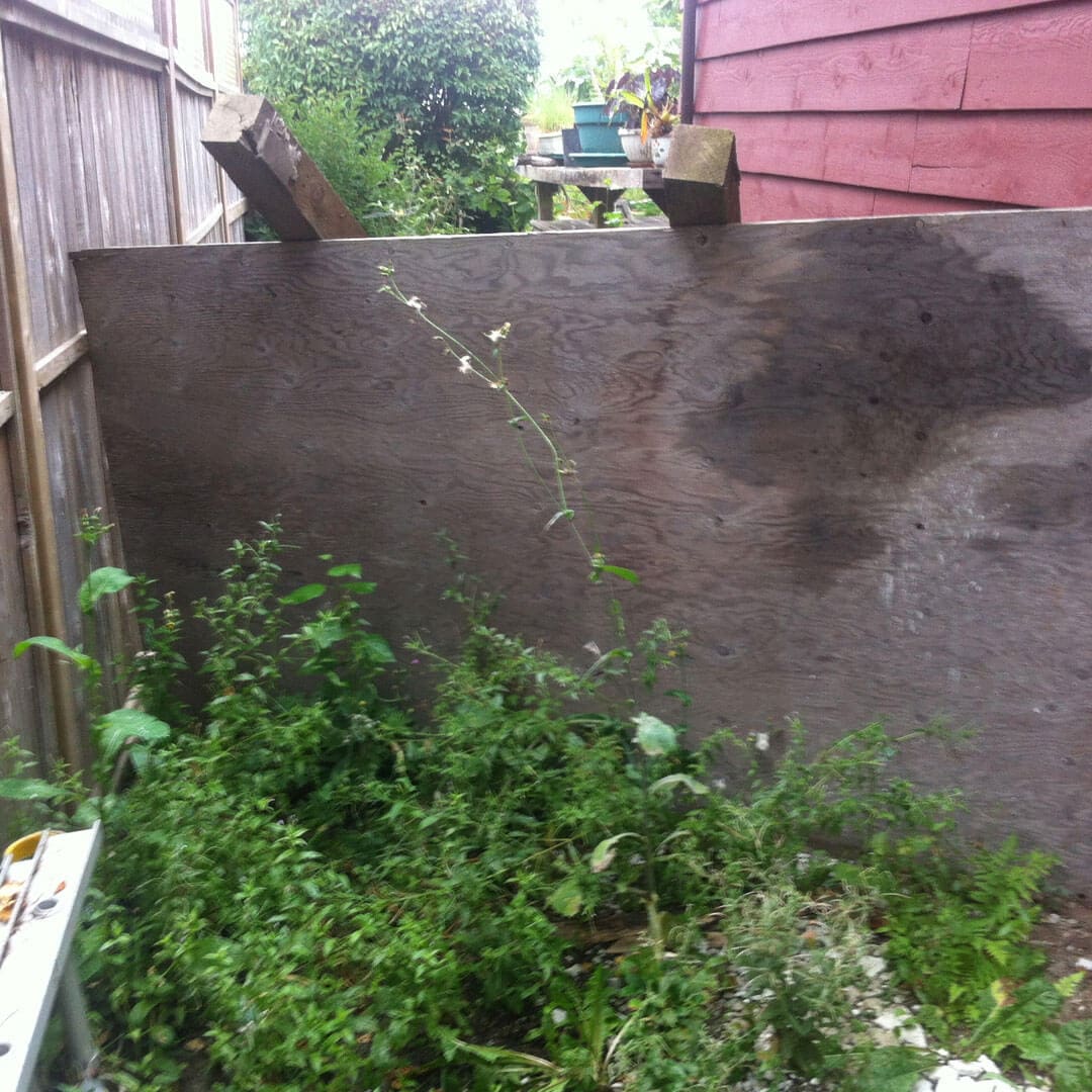 Garden hose spraying water over plants beside a wall and wooden fence.