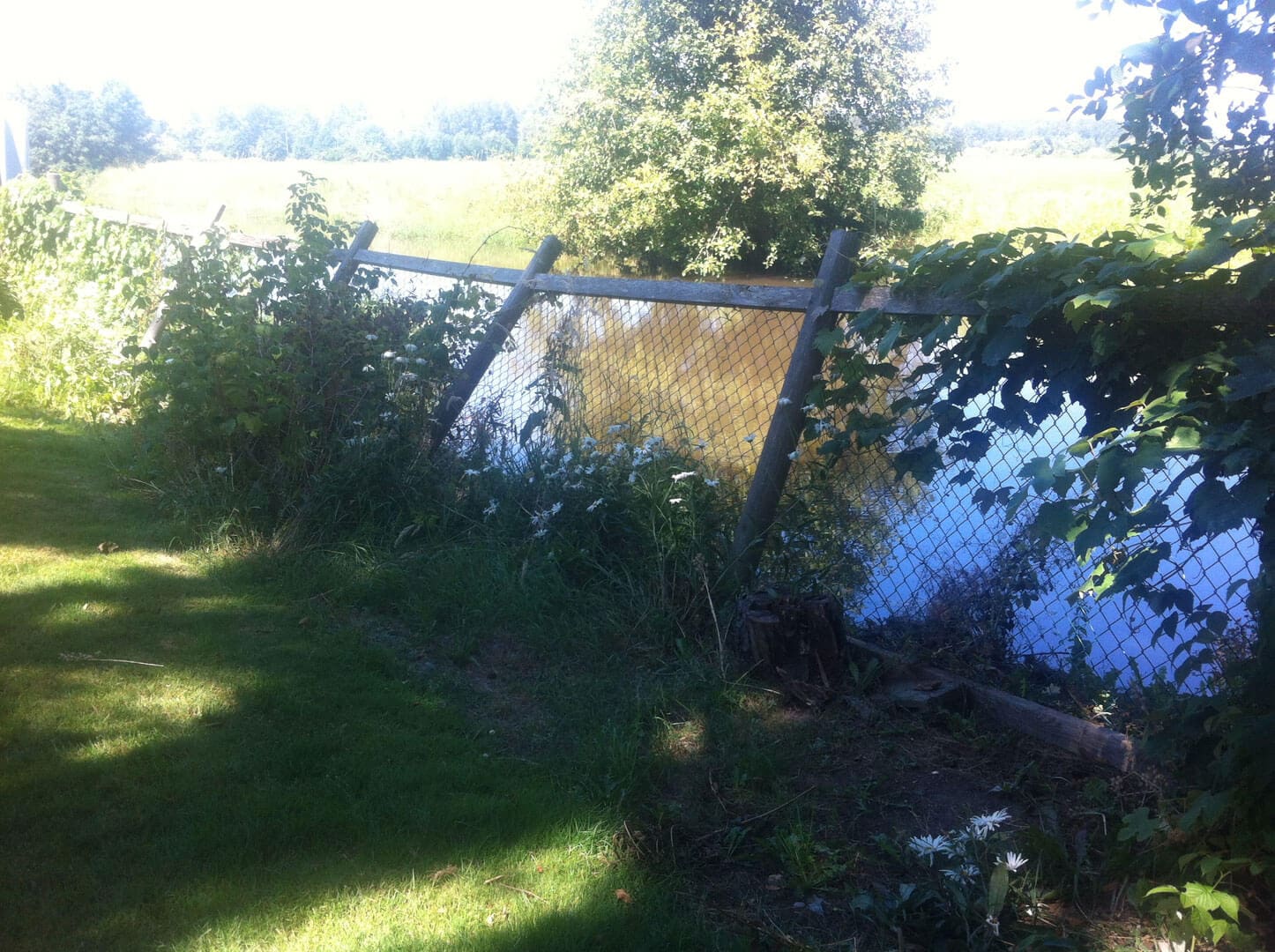 A rustic wooden fence overgrown with plants near a reflective water body.