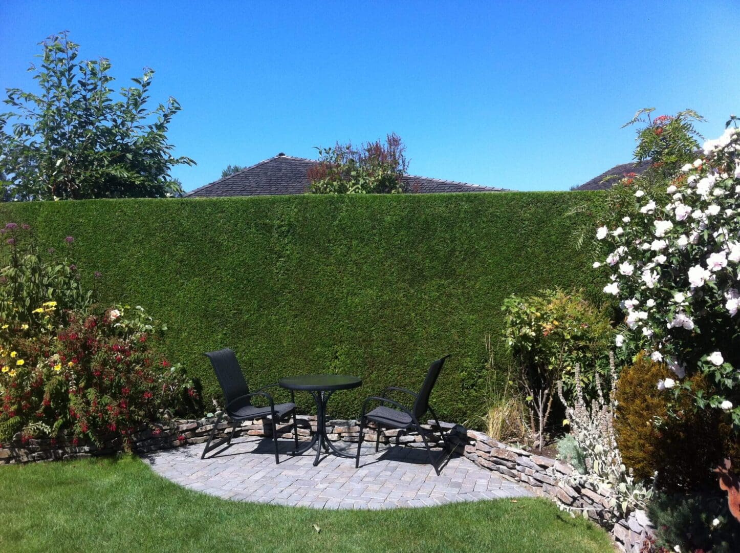 Garden patio with chairs and hedge.