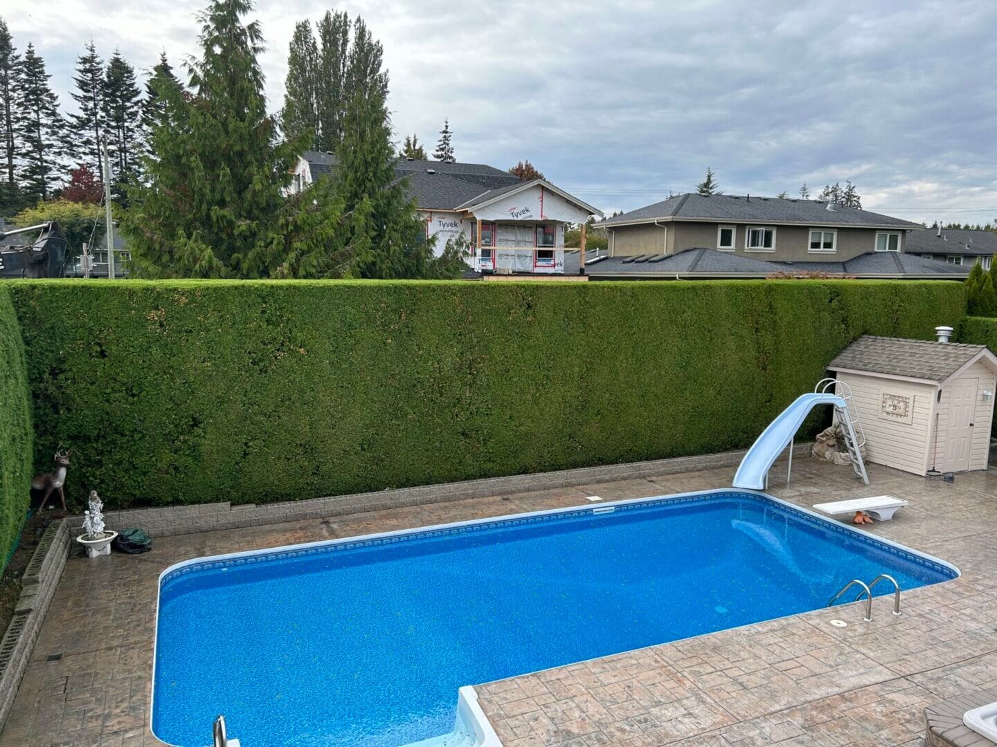 Backyard pool with slide and hedges.