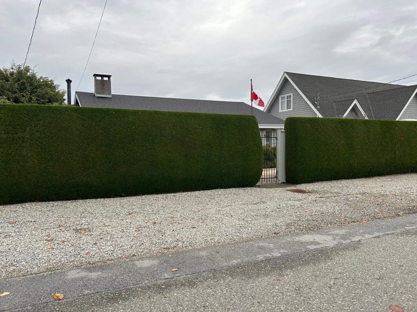 House with hedge and Canadian flag outside.